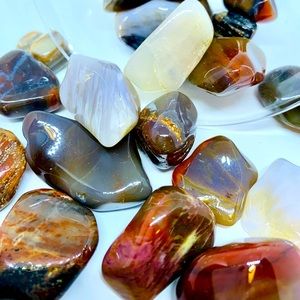 Tumbled Petrified Wood